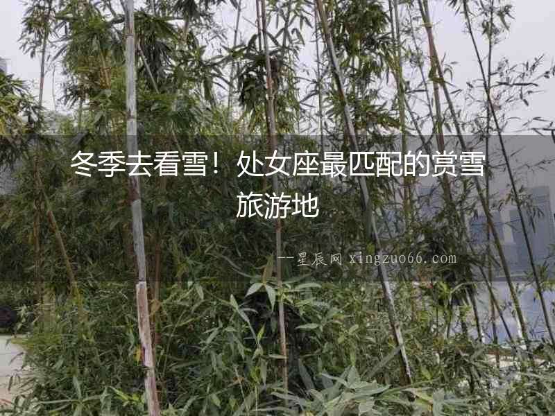 冬季去看雪！處女座最匹配的賞雪旅游地