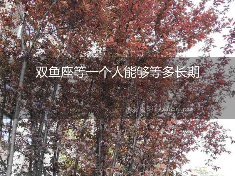 雙魚座等一個人能夠等多長期