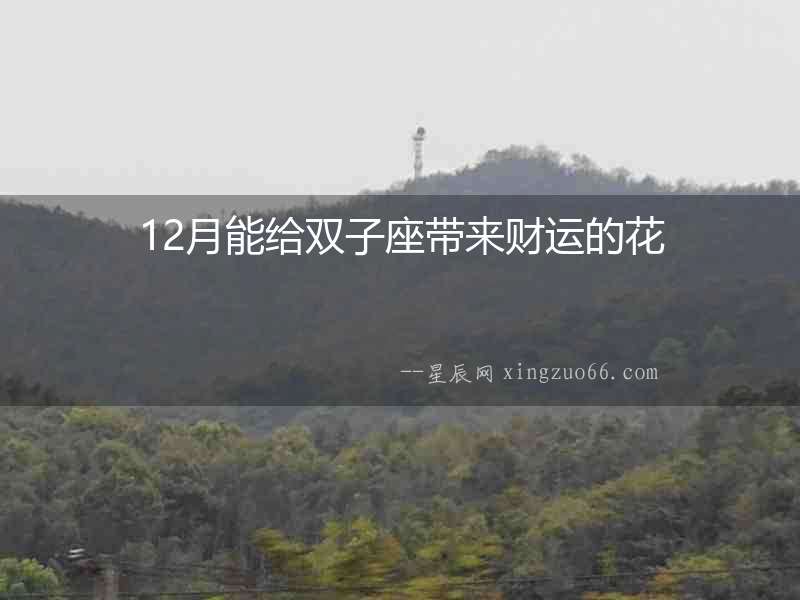 12月能給雙子座帶來財(cái)運(yùn)的花