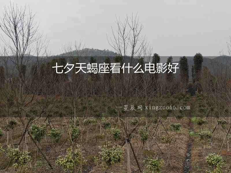 七夕天蝎座看什么電影好