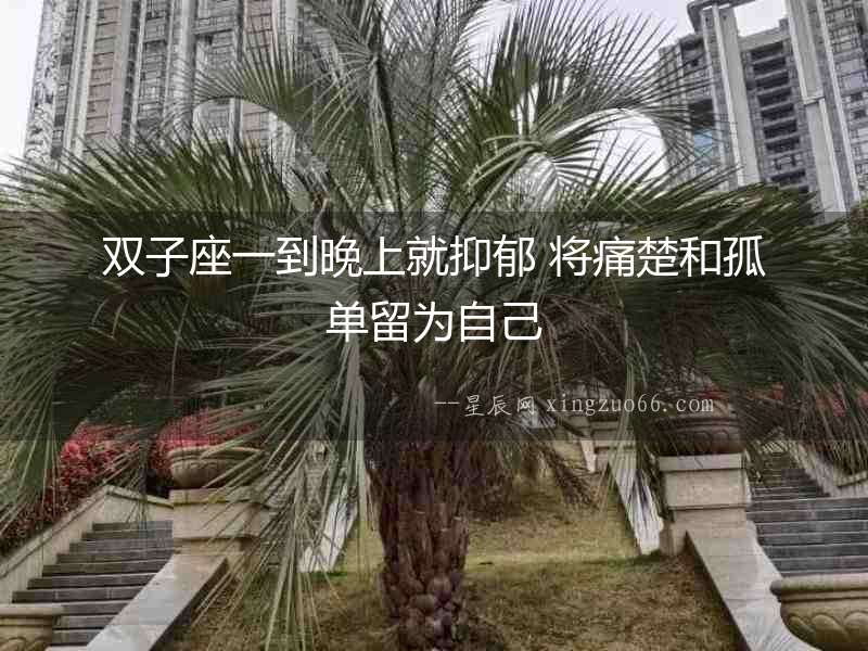 雙子座一到晚上就抑郁 將痛楚和孤單留為自己
