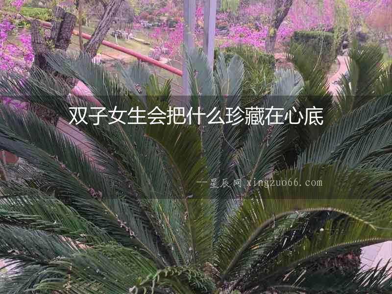 雙子女生會(huì)把什么珍藏在心底