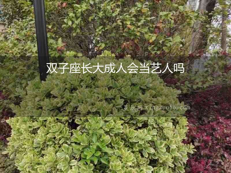 雙子座長大成人會當藝人嗎