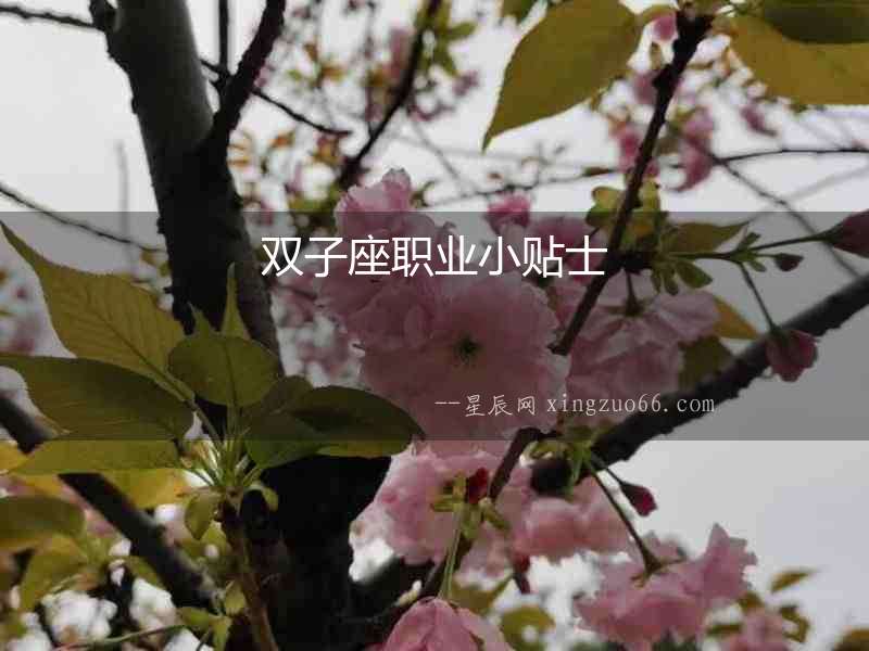 雙子座職業小貼士