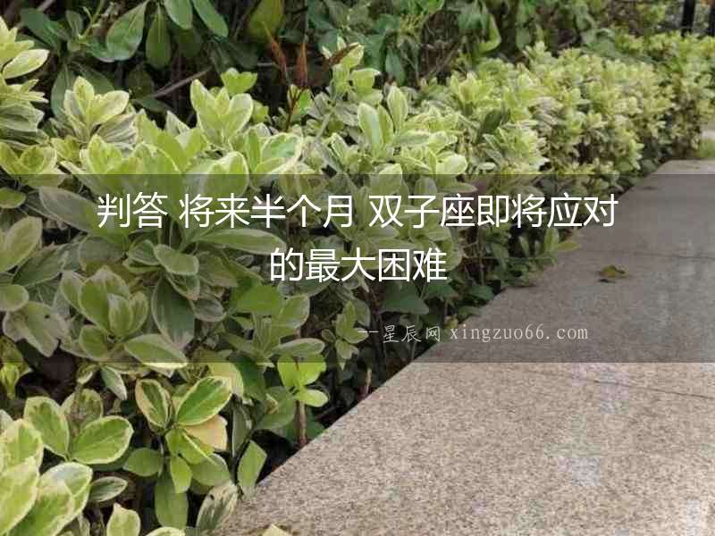 判答 將來半個月 雙子座即將應對的最大困難