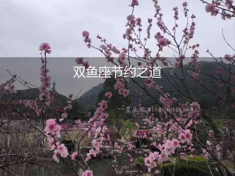 雙魚座節約之道
