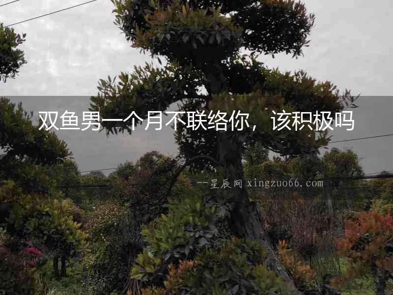 雙魚男一個月不聯絡你，該積極嗎
