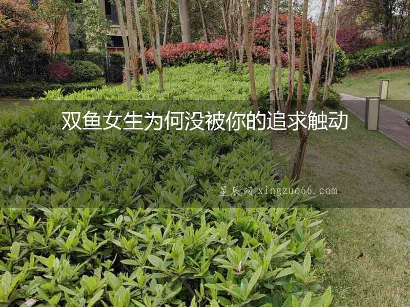 雙魚(yú)女生為何沒(méi)被你的追求觸動(dòng)