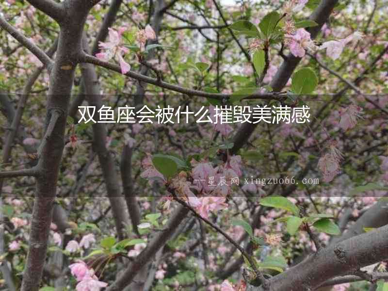 雙魚座會被什么摧毀美滿感