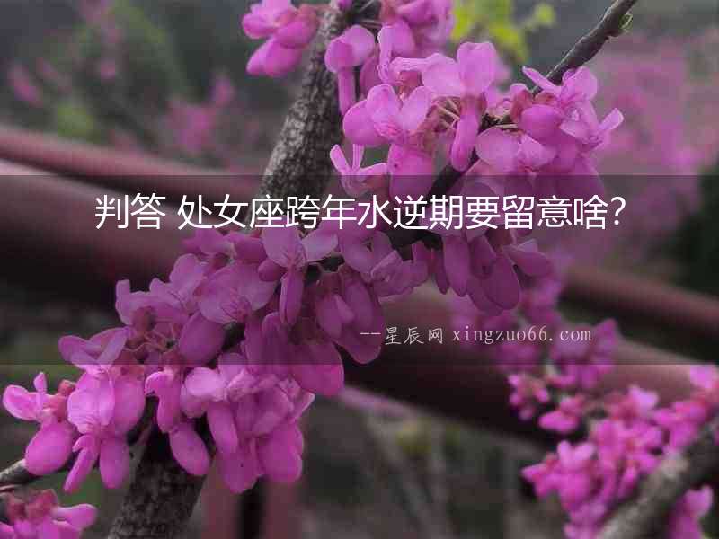 判答 處女座跨年水逆期要留意啥？