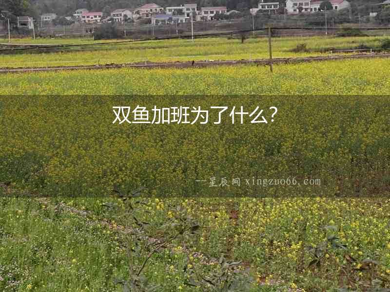 雙魚加班為了什么？