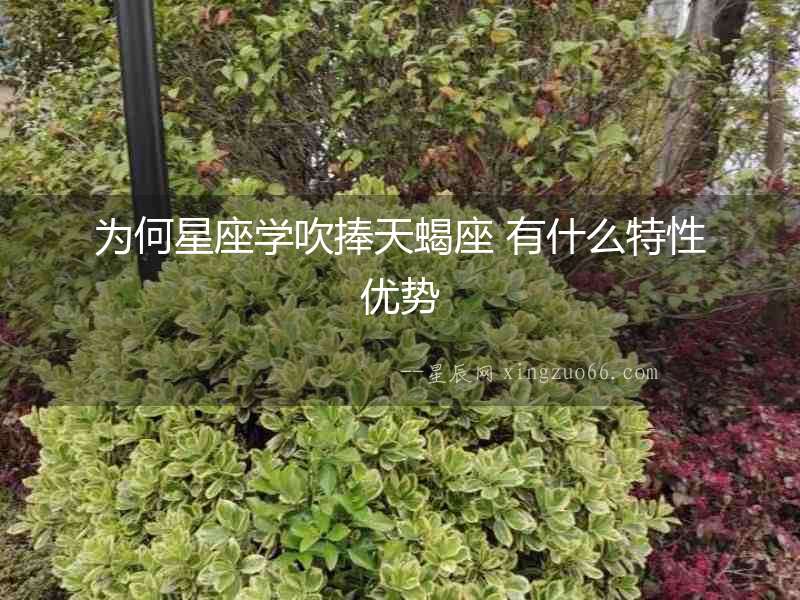 為何星座學(xué)吹捧天蝎座 有什么特性優(yōu)勢(shì)