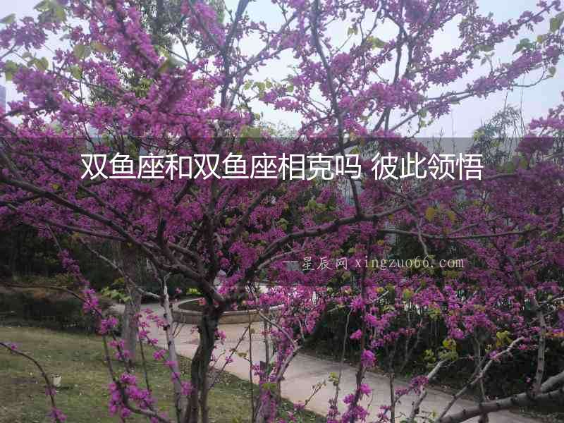 雙魚座和雙魚座相克嗎 彼此領(lǐng)悟
