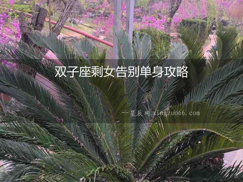 雙子座剩女告別單身攻略