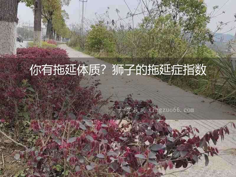 你有拖延體質(zhì)？獅子的拖延癥指數(shù)