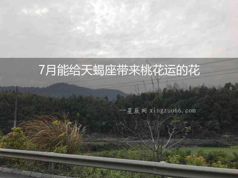 7月能給天蝎座帶來桃花運的花