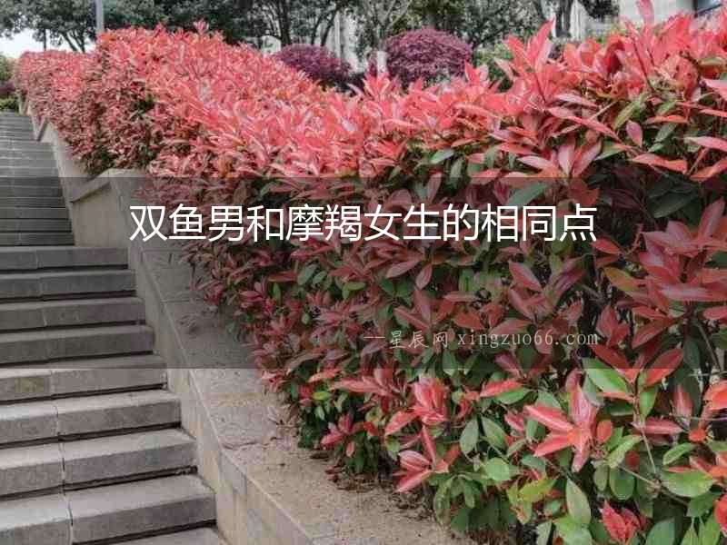 雙魚男和摩羯女生的相同點