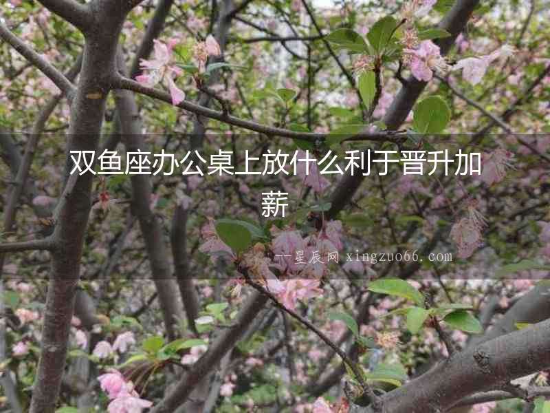 雙魚座辦公桌上放什么利于晉升加薪