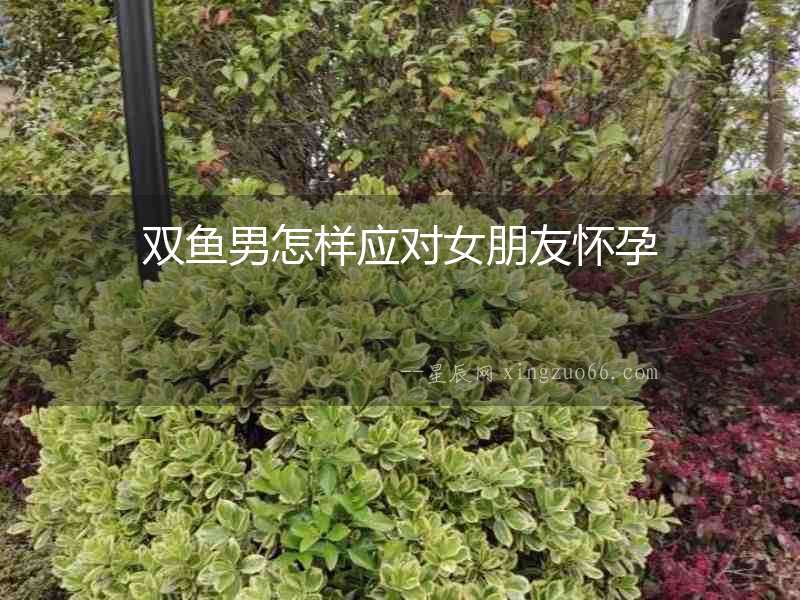 雙魚男怎樣應對女朋友懷孕
