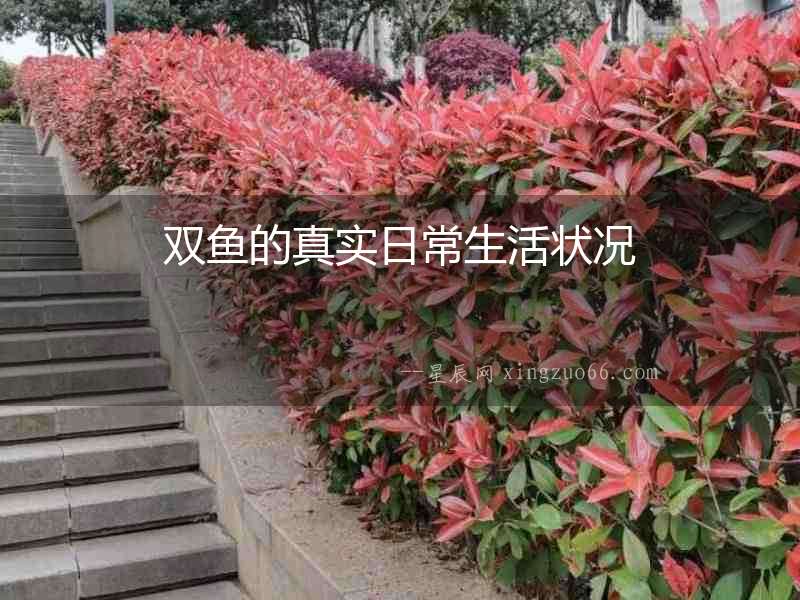 雙魚的真實日常生活狀況