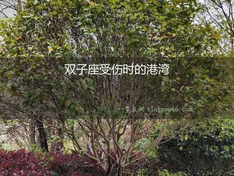 雙子座受傷時的港灣