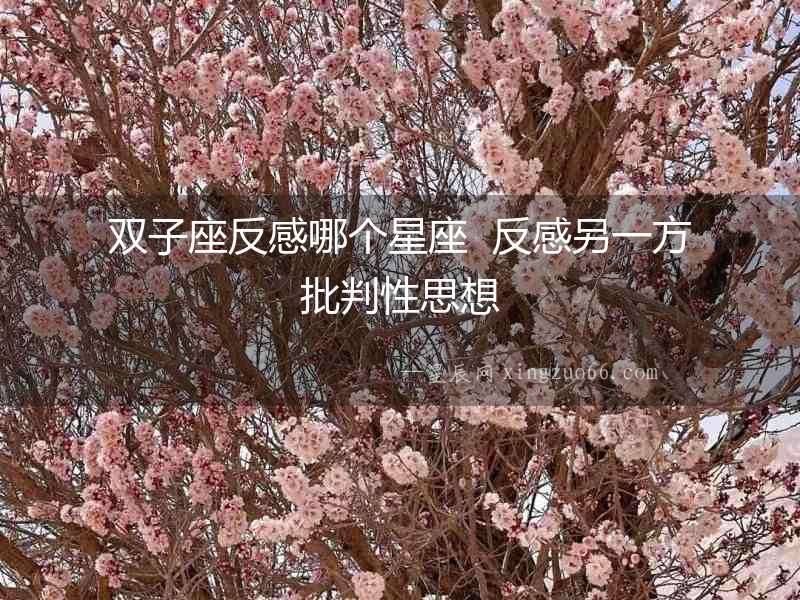 雙子座反感哪個星座  反感另一方批判性思想