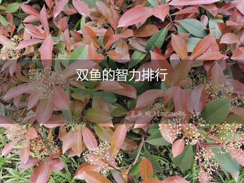 雙魚的智力排行