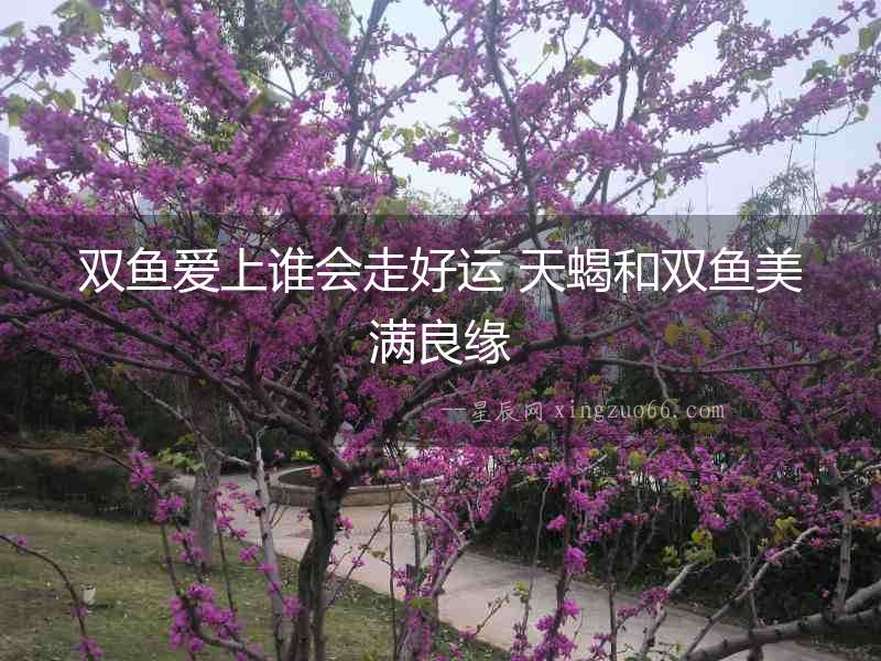 雙魚愛上誰會走好運 天蝎和雙魚美滿良緣