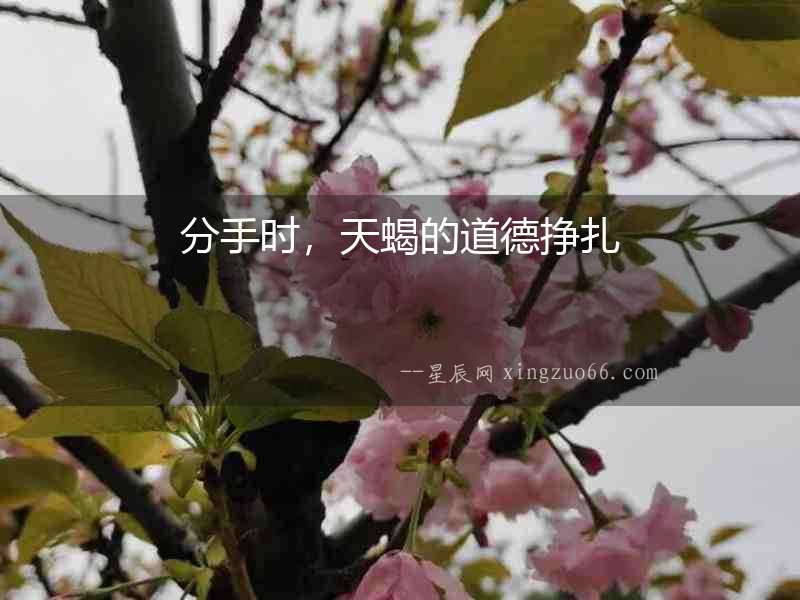 分手時，天蝎的道德掙扎