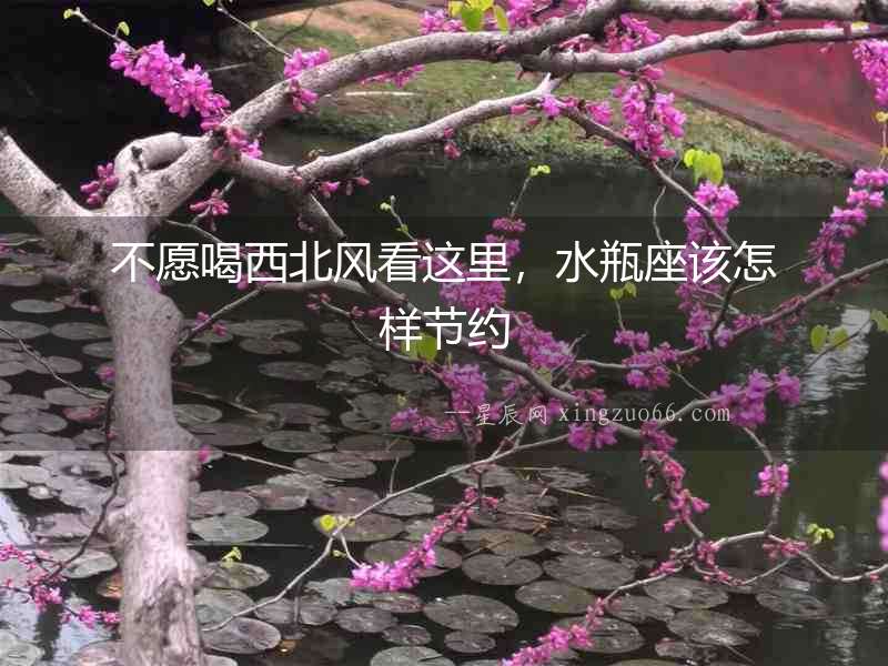 不愿喝西北風看這里，水瓶座該怎樣節約