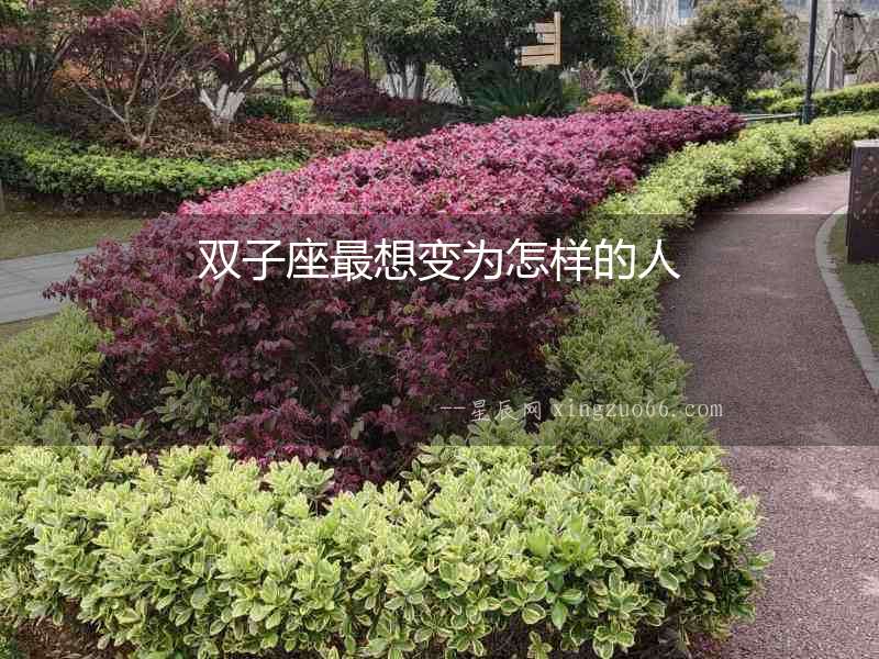 雙子座最想變為怎樣的人