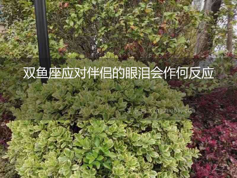 雙魚座應對伴侶的眼淚會作何反應