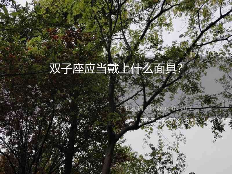 雙子座應當戴上什么面具？