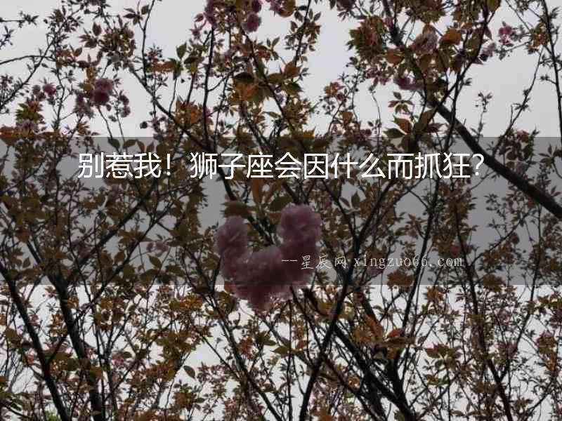 別惹我！獅子座會因什么而抓狂？