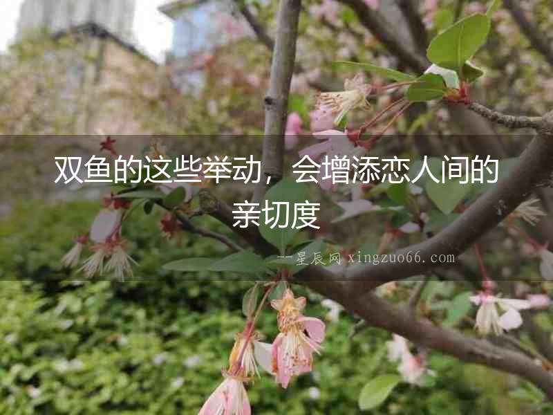 雙魚的這些舉動，會增添戀人間的親切度