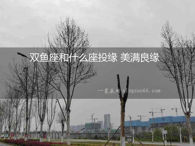 雙魚(yú)座和什么座投緣 美滿良緣  　　
