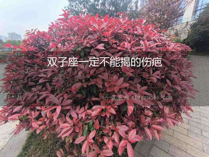 雙子座一定不能揭的傷疤