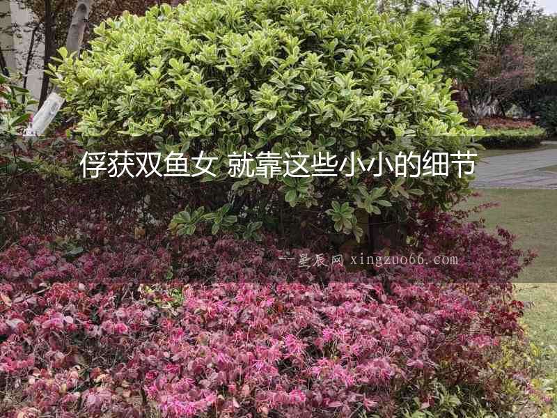 俘獲雙魚女 就靠這些小小的細(xì)節(jié)