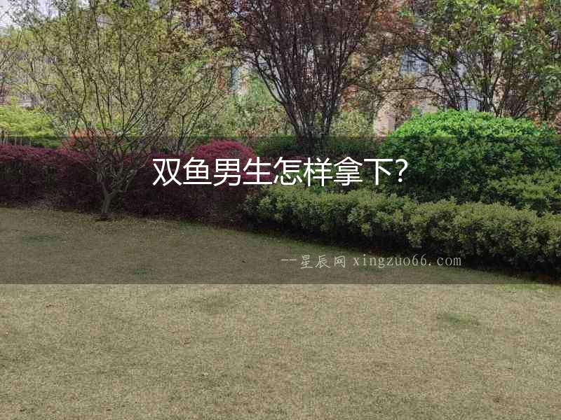 雙魚男生怎樣拿下？