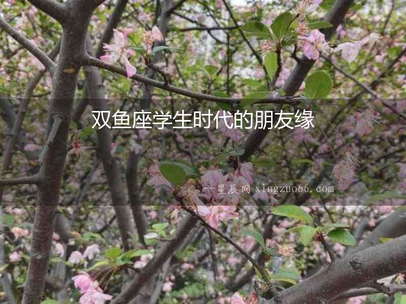 雙魚座學(xué)生時(shí)代的朋友緣