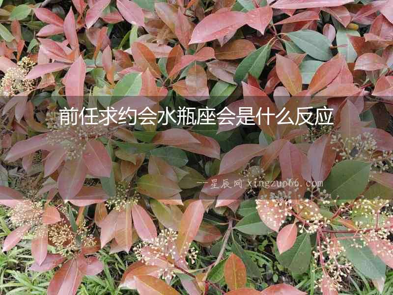 前任求約會水瓶座會是什么反應(yīng)