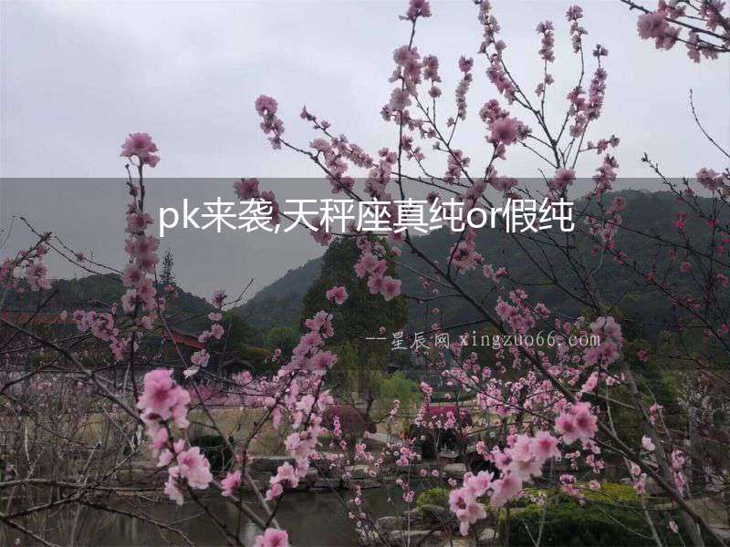 pk來(lái)襲,天秤座真純or假純