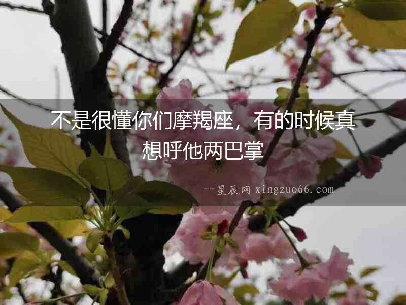 不是很懂你們摩羯座，有的時候真想呼他兩巴掌