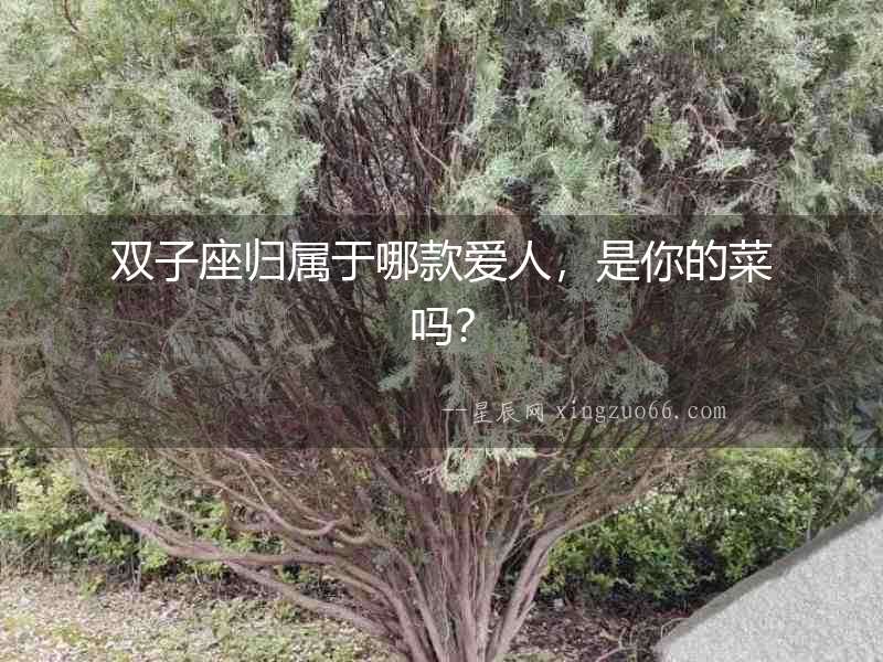 雙子座歸屬于哪款愛人，是你的菜嗎？