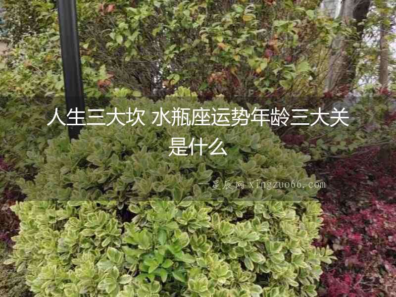 人生三大坎 水瓶座運(yùn)勢年齡三大關(guān)是什么