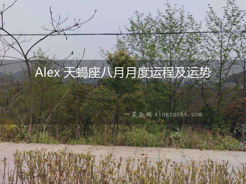 Alex 天蝎座八月月度運程及運勢