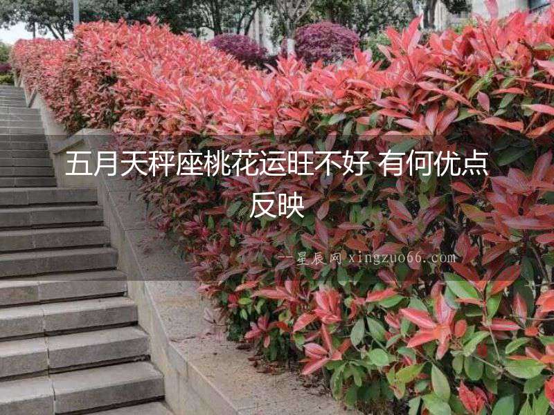 五月天秤座桃花運(yùn)旺不好 有何優(yōu)點(diǎn)反映