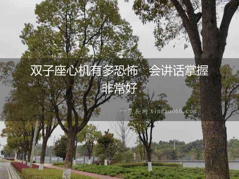 雙子座心機有多恐怖   會講話掌握非常好