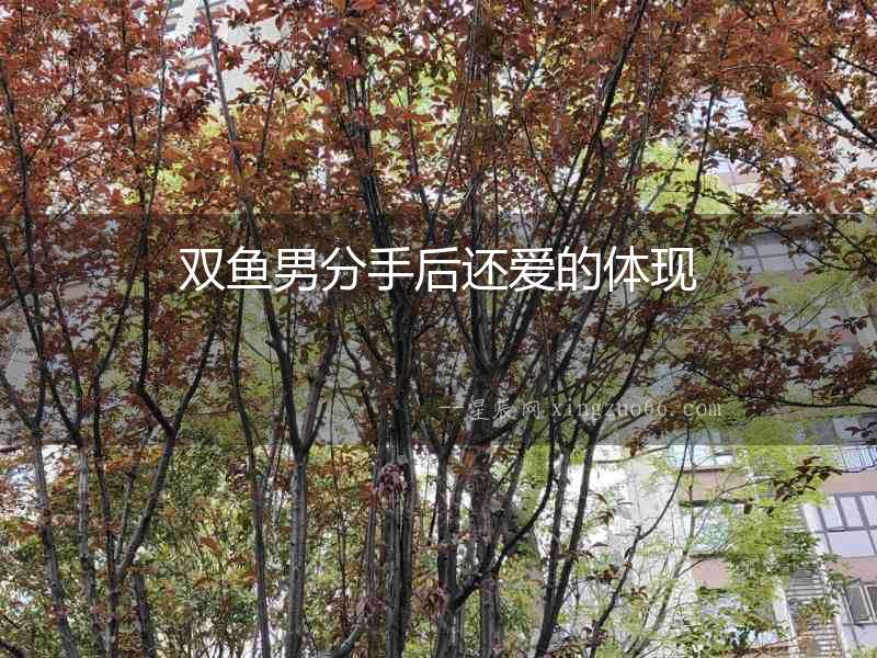 雙魚男分手后還愛的體現