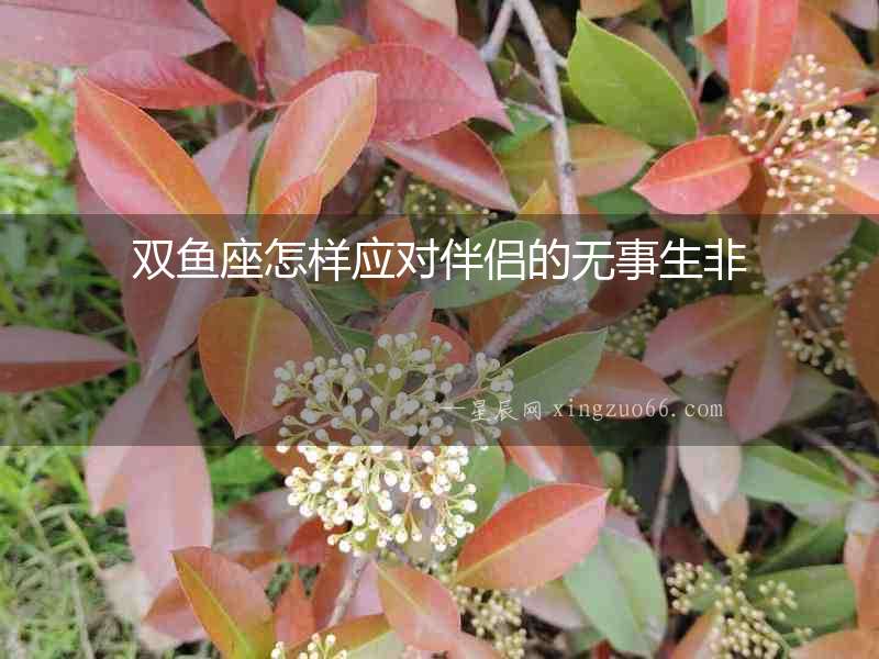 雙魚座怎樣應對伴侶的無事生非